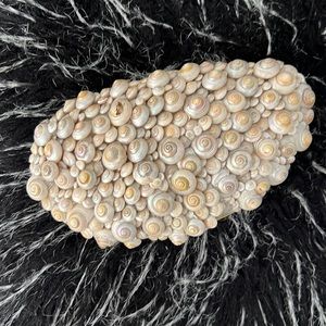 Robin grubman palm beach shell clutch